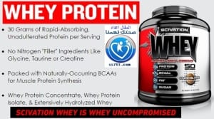 Whey Protein Scivation