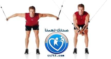 تمرينة تحديد عضلة البنش