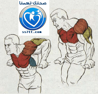تمرينة تحديد عضلة البنش