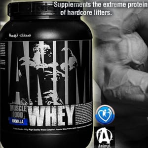 انيمال واى بروتين animal whey protein