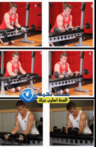 تمارين عضلة الساعد والرست (Forearm (brachioradialis