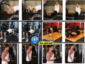 تمارين عضلة التراى (Triceps (triceps brachii