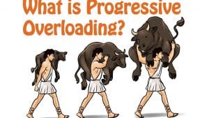 مبدأ الزيادة الدورية للاحمال Progressive Overloading