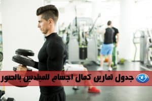 جدول تمارين كمال اجسام للمبتدئين بالصور