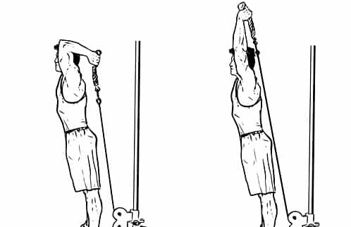 تمارين الذراع لتضخيم عضلات (الباى والتراى والساعد والرست) 3